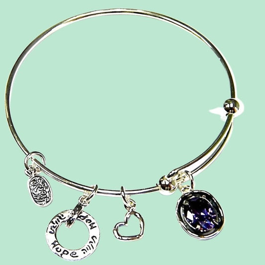 Hope Charms Bracelet Sterling Silver 925 Bluenoemi Jewelry Amethyst Zircon - Bluenoemi