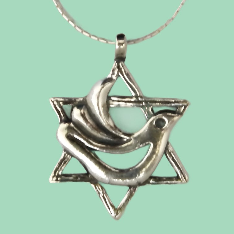 Star of David Dove Necklace , Sterling silver necklace, Jerusalem Jewelry from Bluenoemi - Bluenoemi